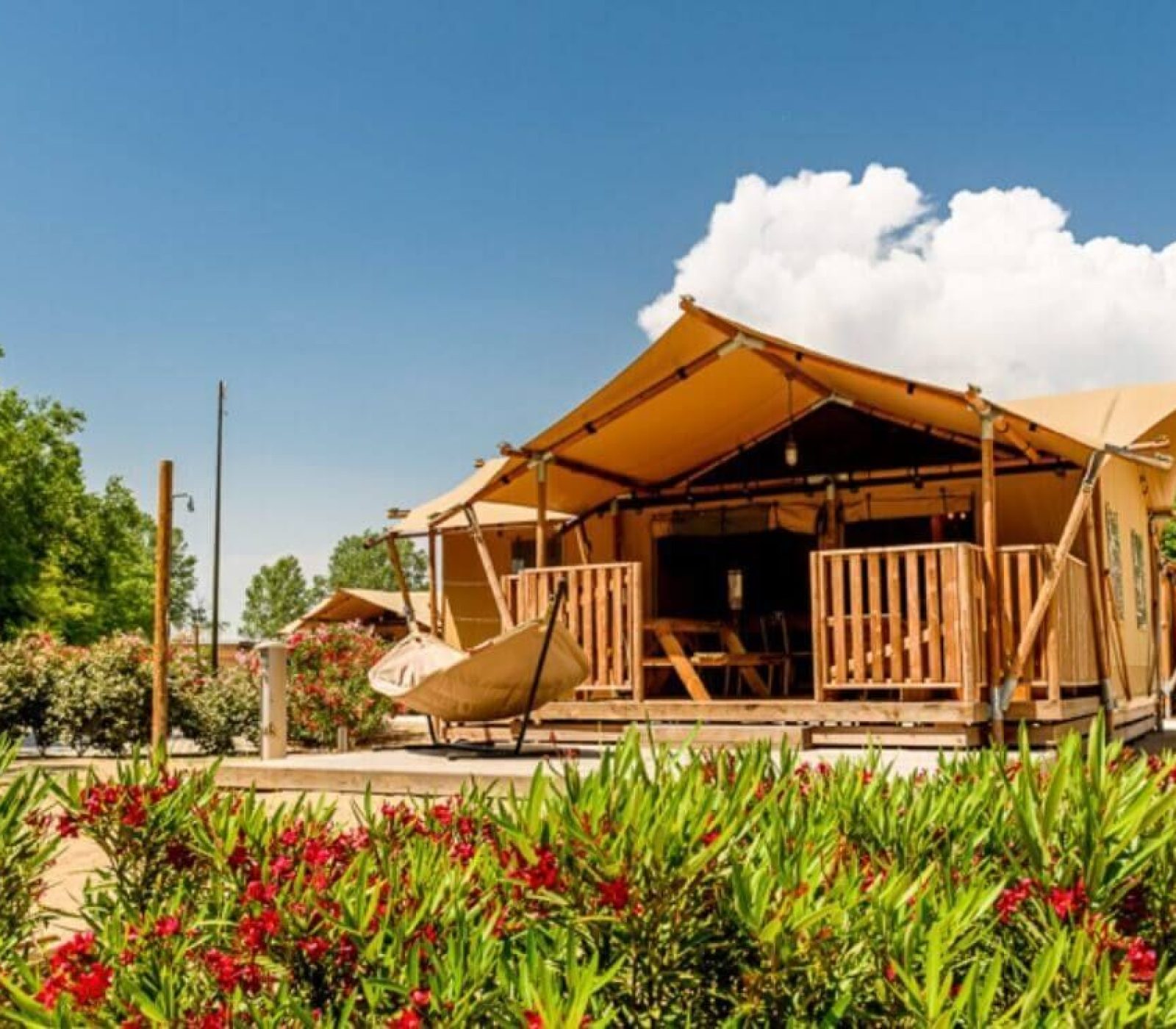 Luxury Safari Lodge 49